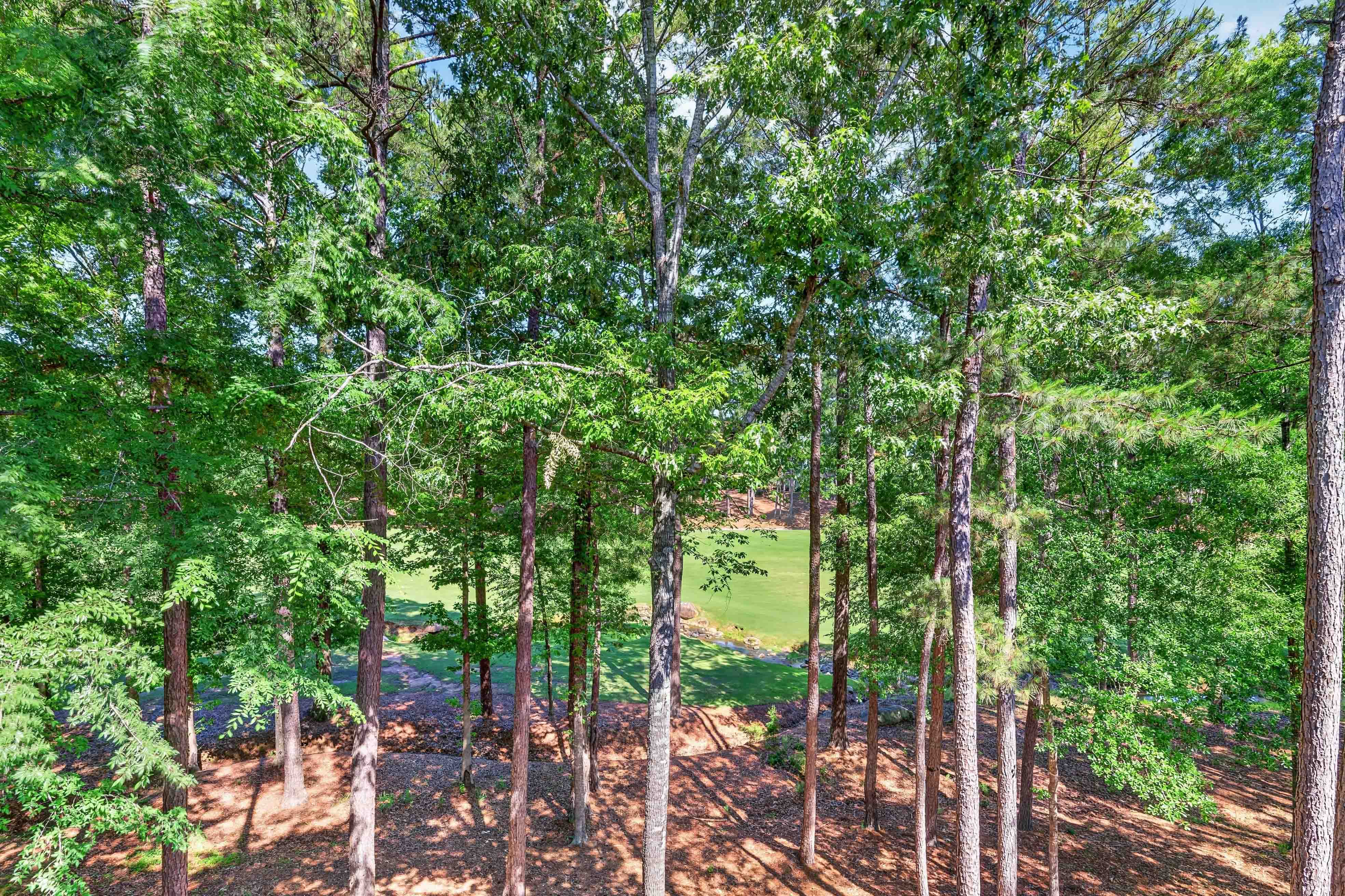 1040E Tailwater image 18